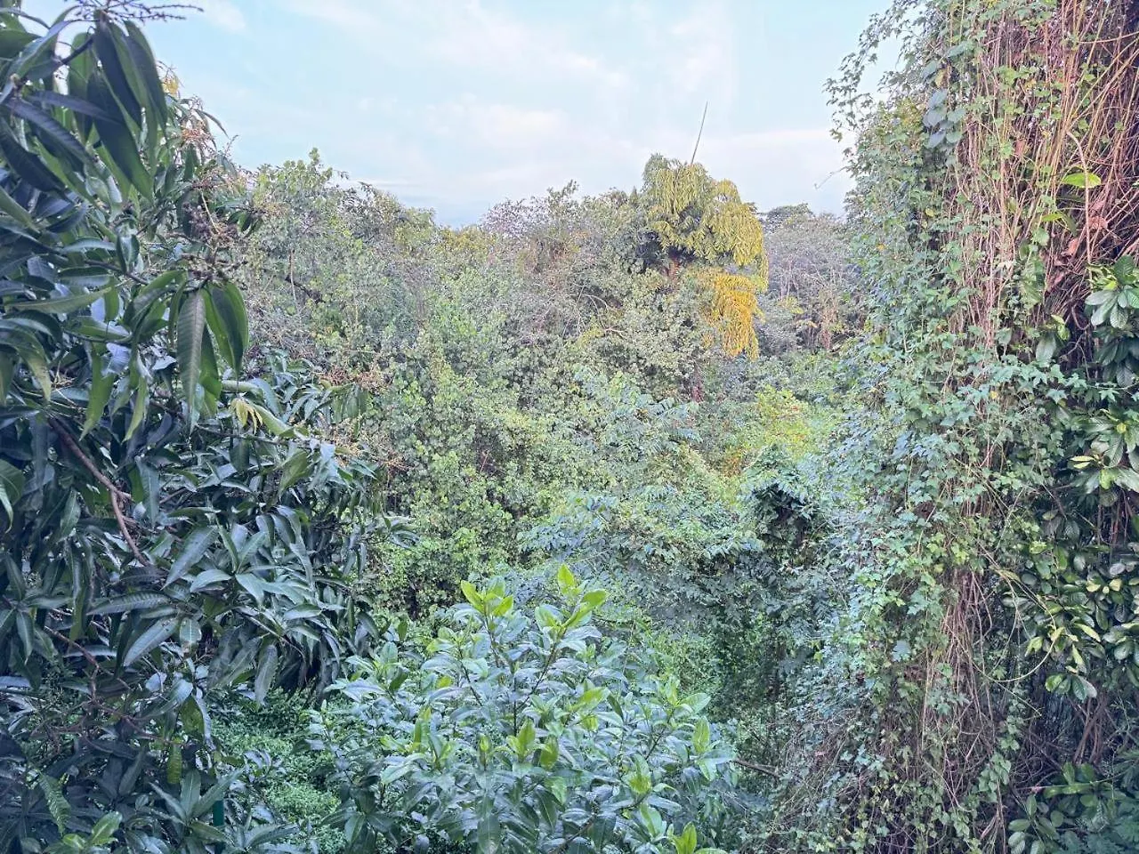 Birders Urban Retreat Bed & Breakfast Sri Jayewardenepura Kotte Sri Lanka